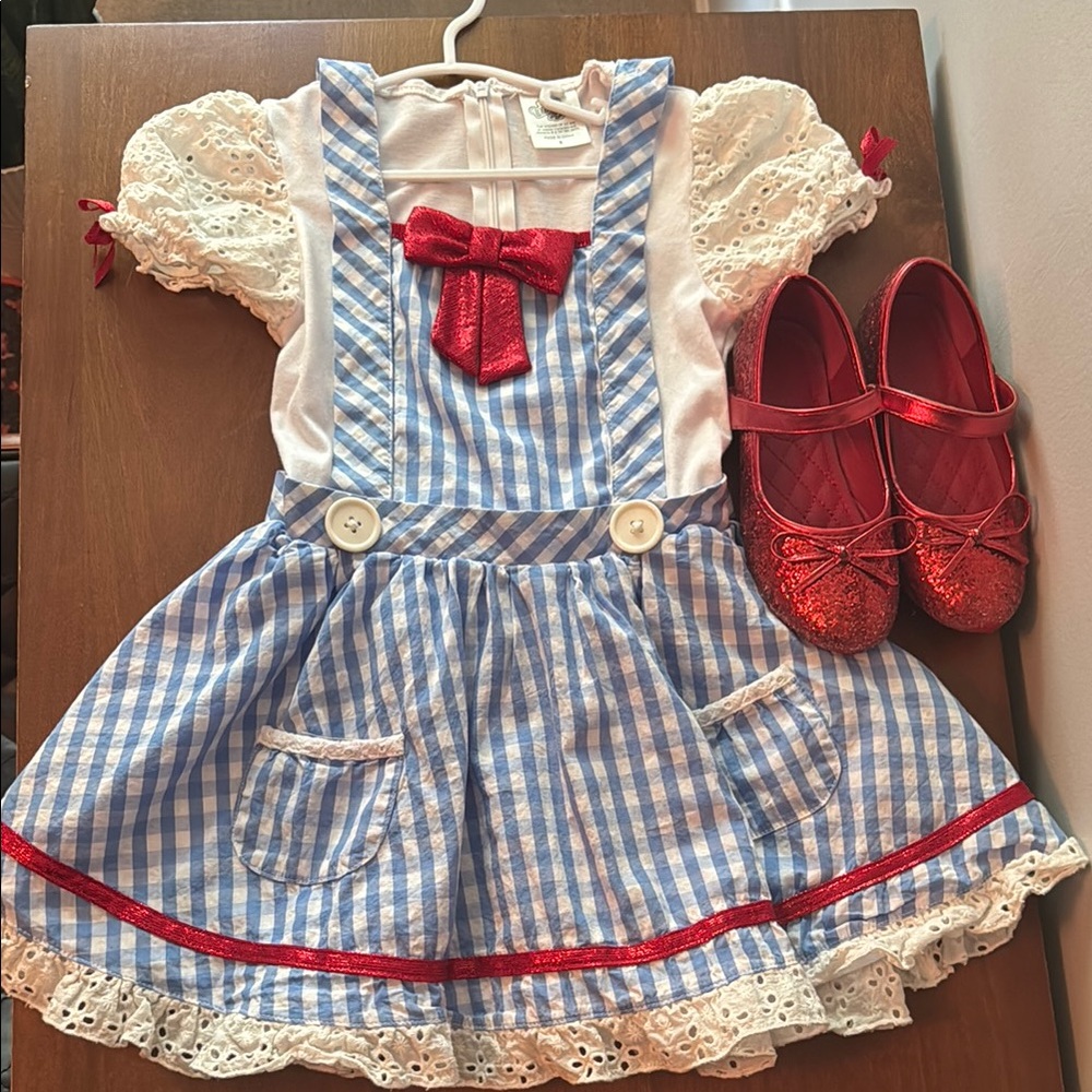 Dorothy Costume and Shoes